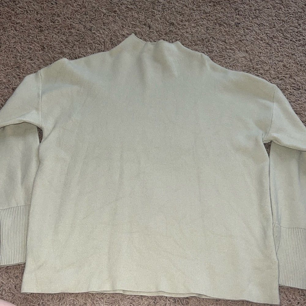 Tahari Tjmaxx Fitted Light Green Sweater